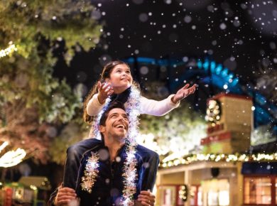 SeaWorld San Diego’s Christmas Celebration Offers New Shows, Snowflakes, Santa And More!
